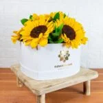 Box Girasoles Radiante