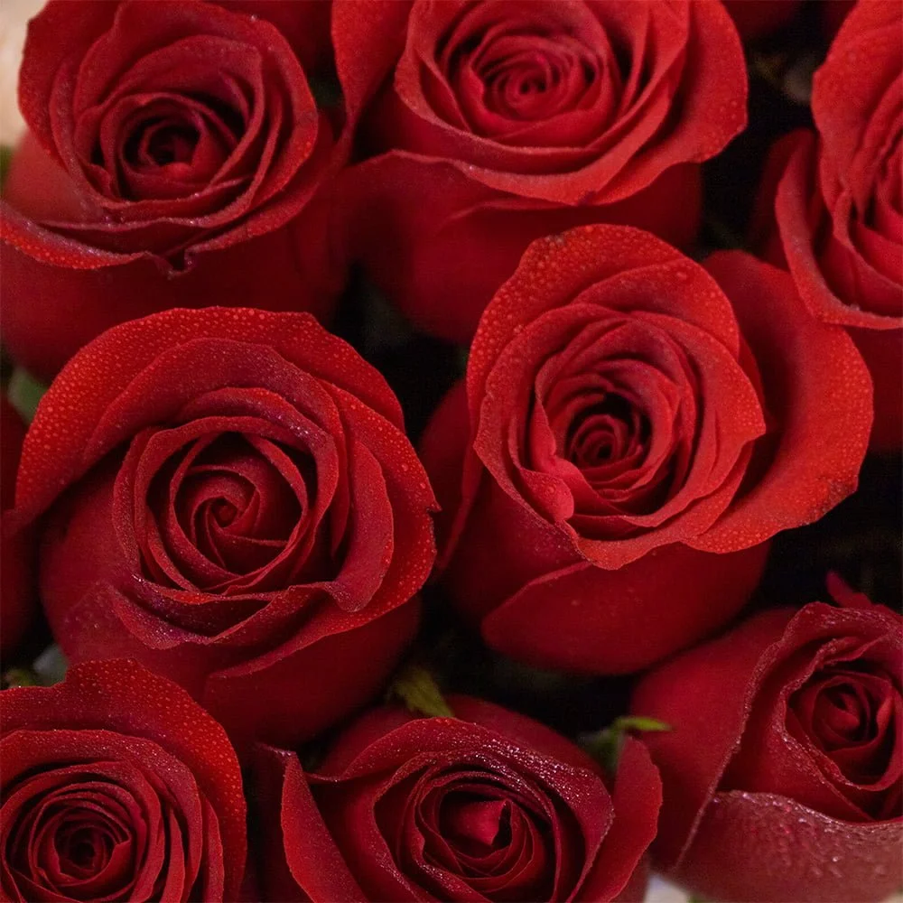 Box Corazón Rosas + Cadena de Plata + Vino Intipalka - Imagen 5