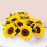Box Girasoles Radiante