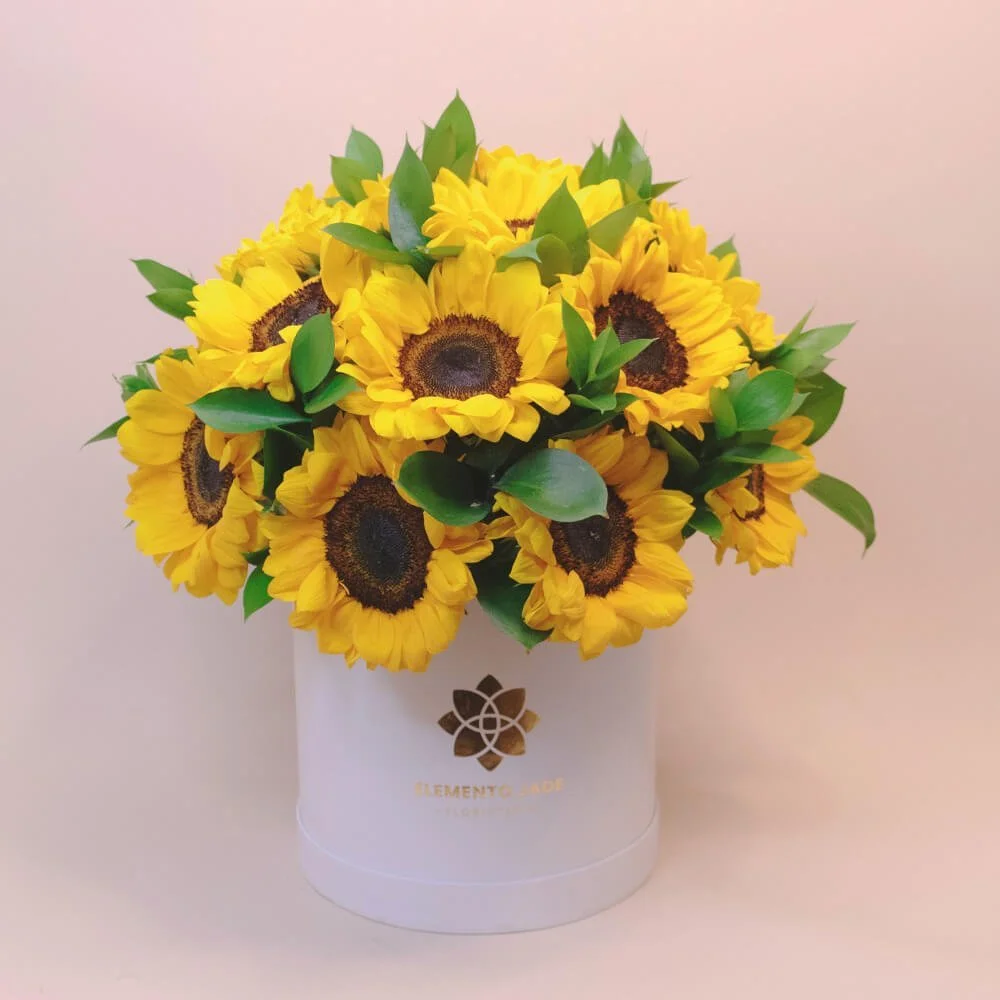 Box Grandiosa Girasoles