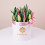 Box 20 Tulipanes Premium