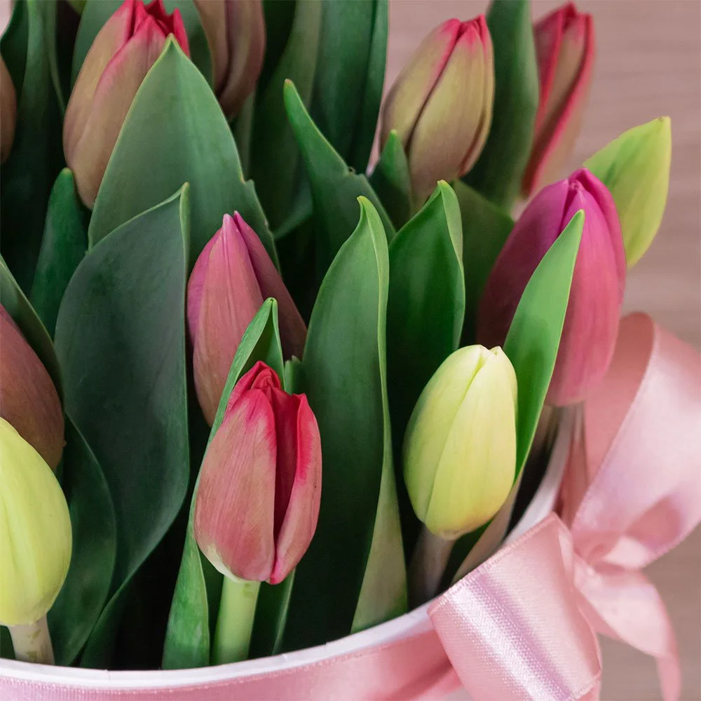 Box 20 Tulipanes Premium - Imagen 2