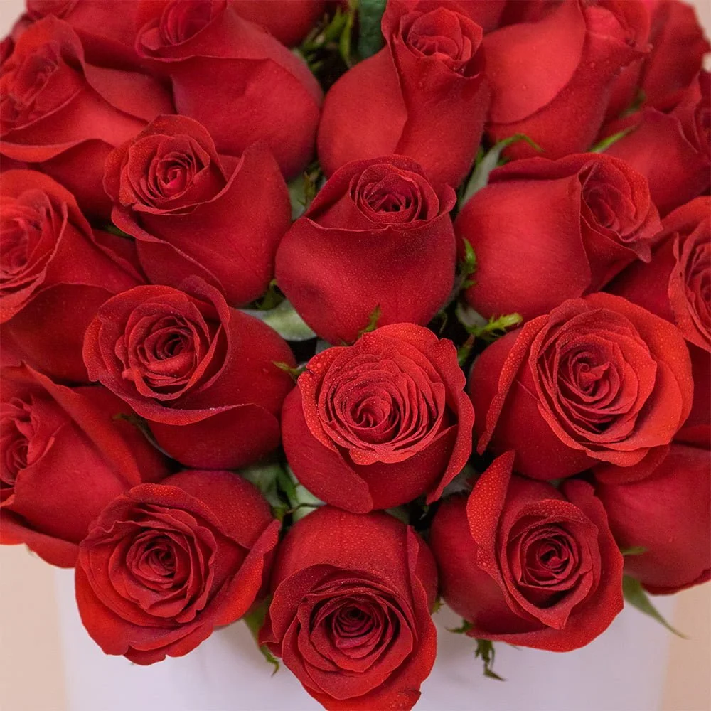 Box Rosas Cumpleaños Feliz - Imagen 2