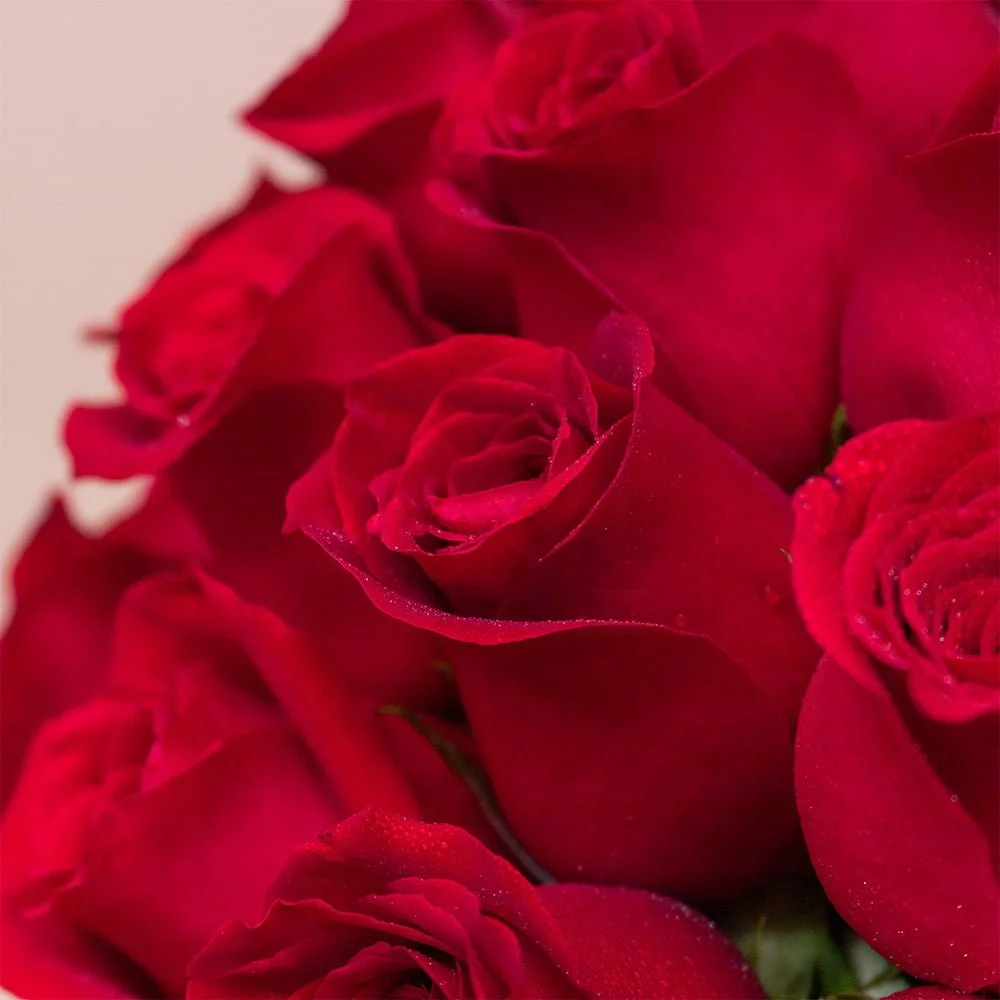 Box Rosas Cumpleaños Feliz - Imagen 3