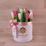 Sweet Box Tulipanes