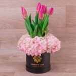 Box de Tulipanes Premium