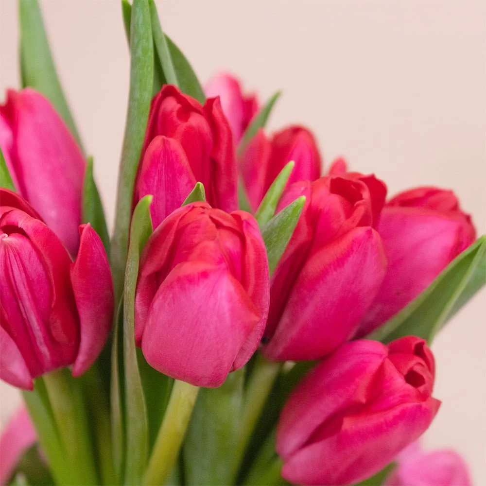 Box de Tulipanes y Rosas - Imagen 3