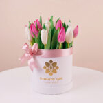 Sweet Box Tulipanes