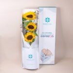 Caja Girasoles Premium