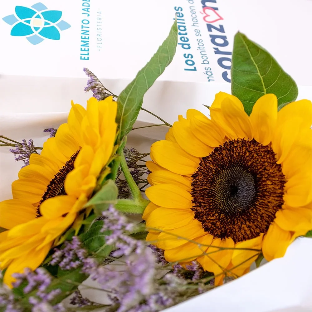 Caja Girasoles Premium - Imagen 2