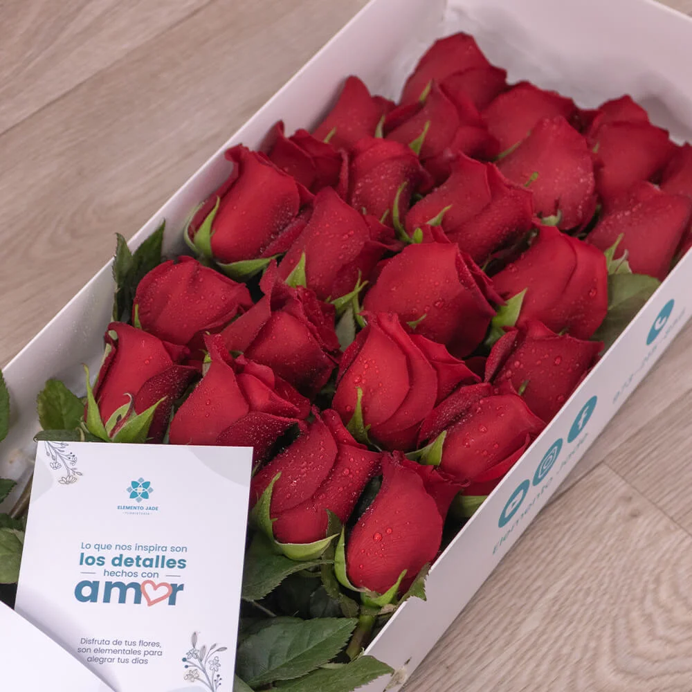 Caja Jade Premium 24 Rosas - Imagen 3