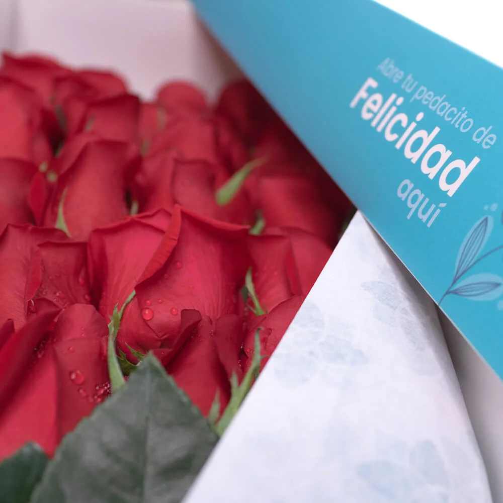 Pack Caja Jade y Osito con chocolate - Imagen 5