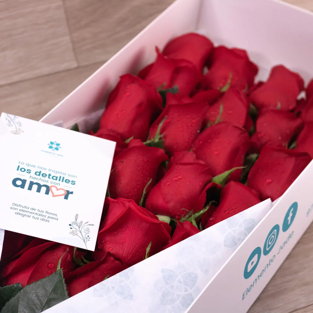 Pack Caja Jade y Osito con chocolate - Imagen 3