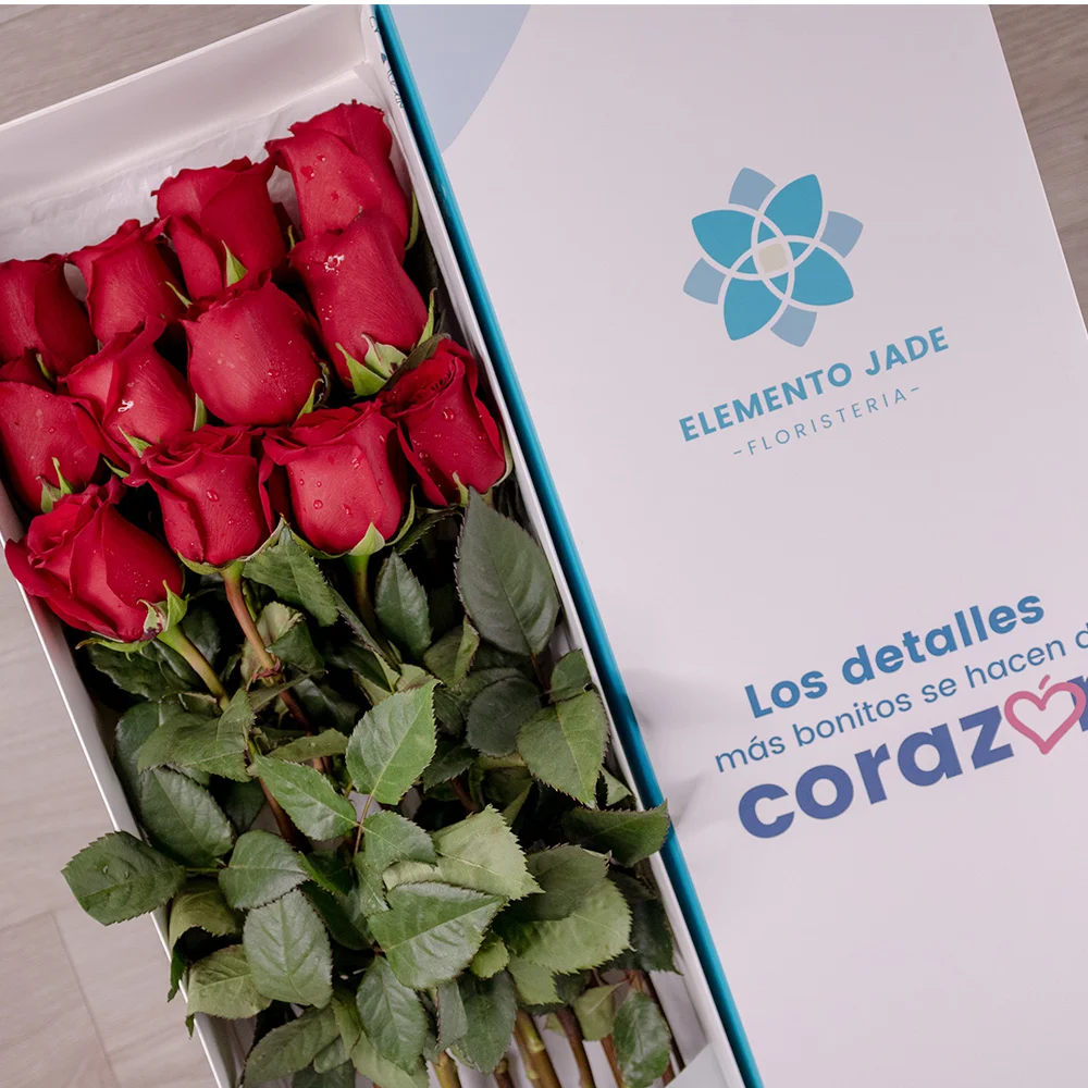 Pack Caja Jade y Osito con chocolate - Imagen 2