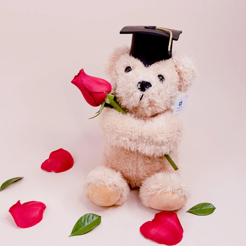 Peluche Oso Graduado