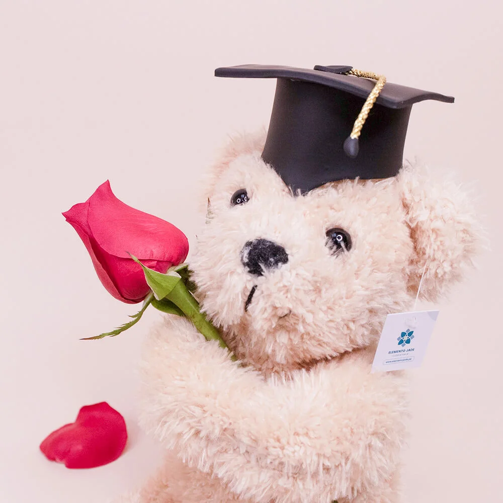 Peluche Oso Graduado - Imagen 2