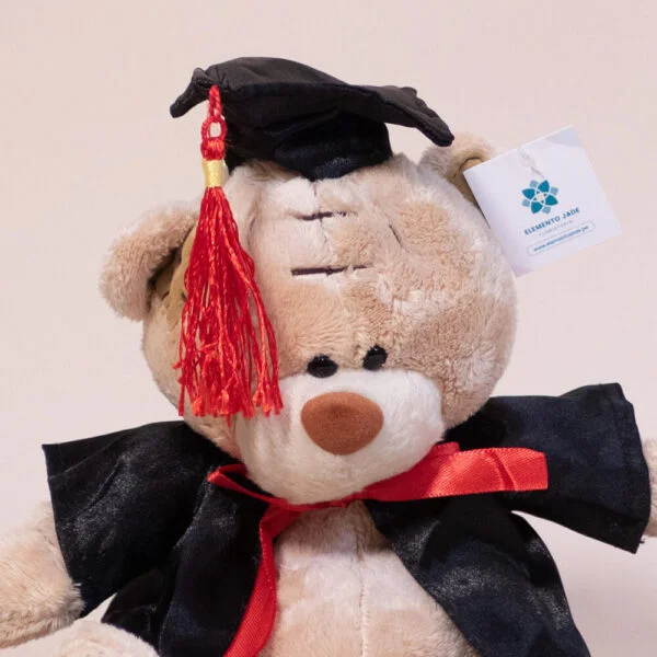 Peluche Graduate - Imagen 2