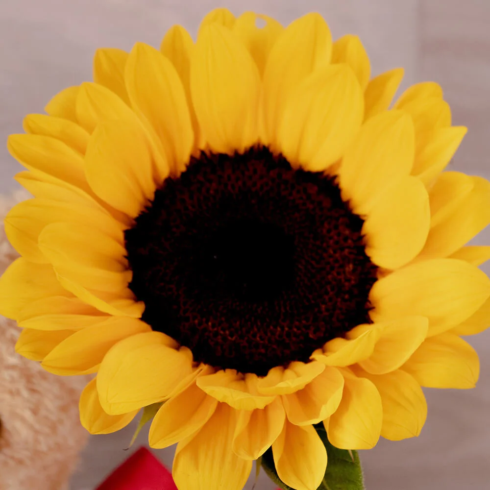 Gift Box Girasoles - Imagen 3