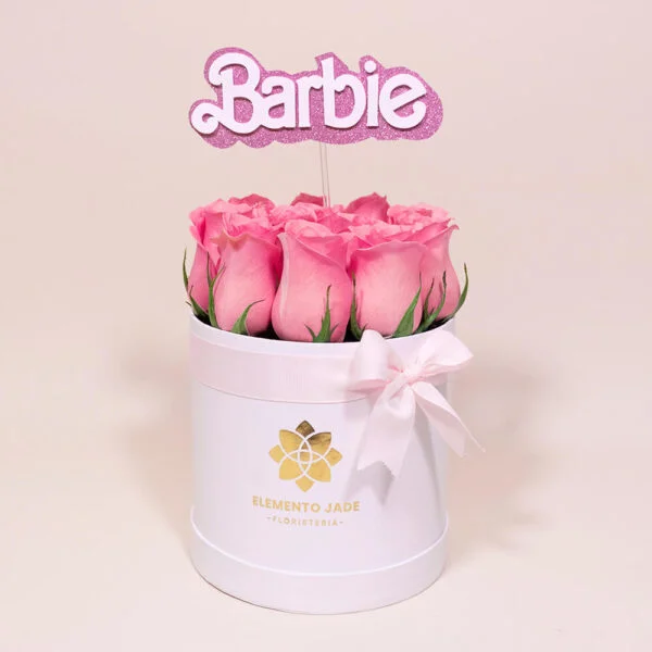 Box Rosas Barbie