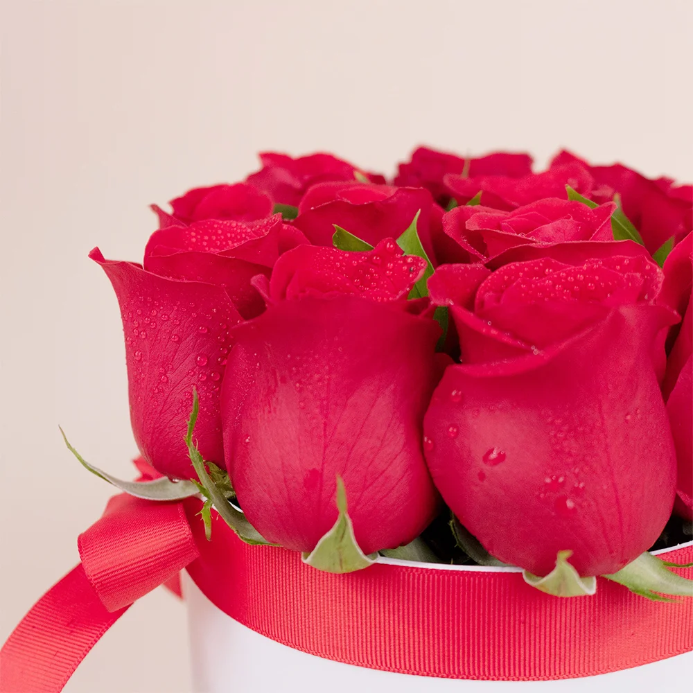 Box "Mi vida eres tú" - Imagen 3