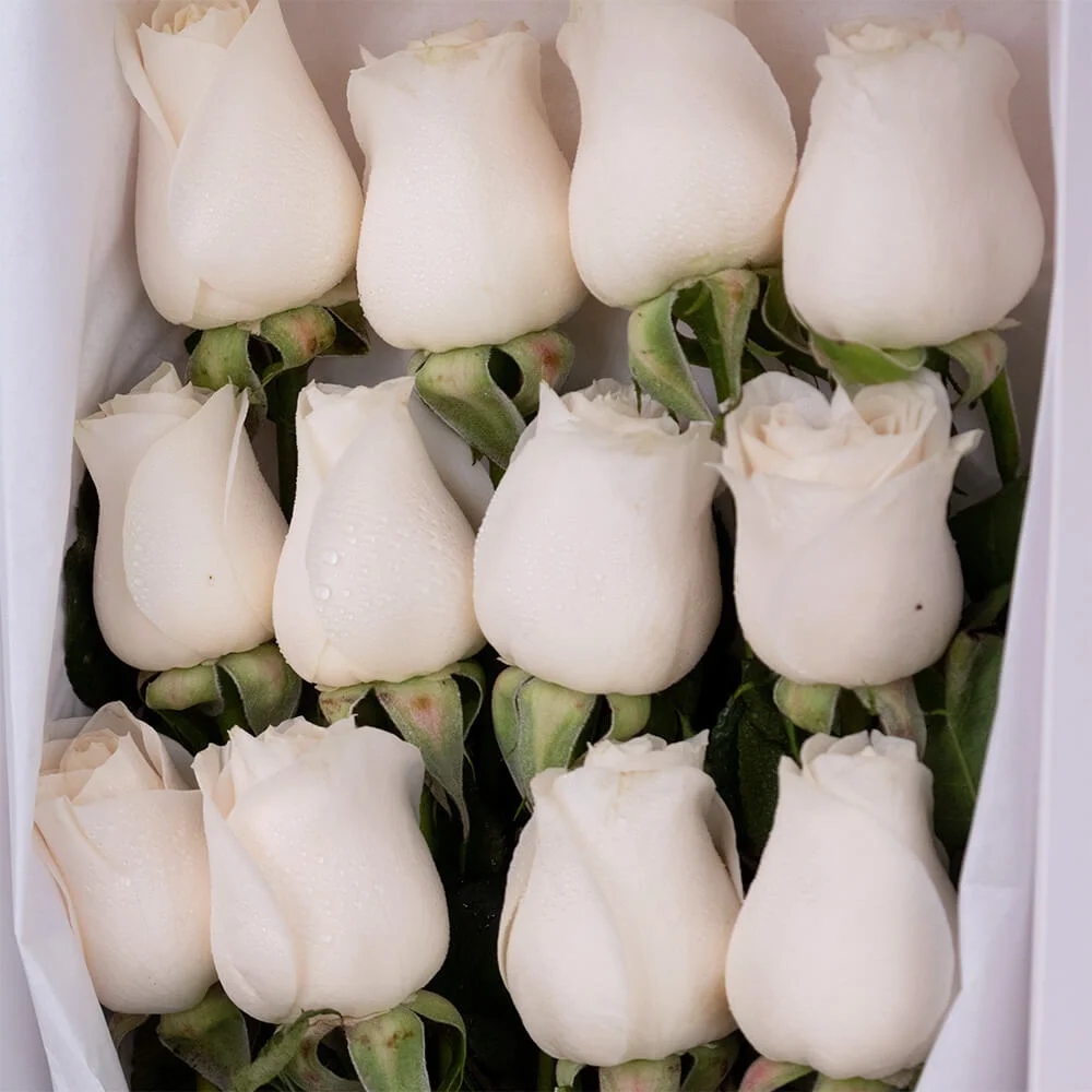 Caja Jade Rosas Blancas - Imagen 2