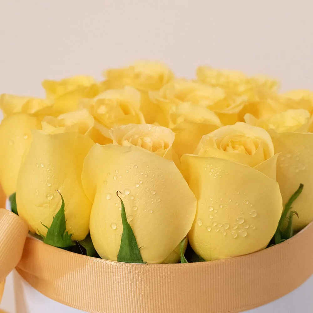Box Rosas Amarillas II - Imagen 2