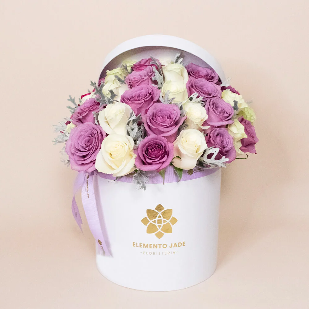 Box Señorita de Rosas