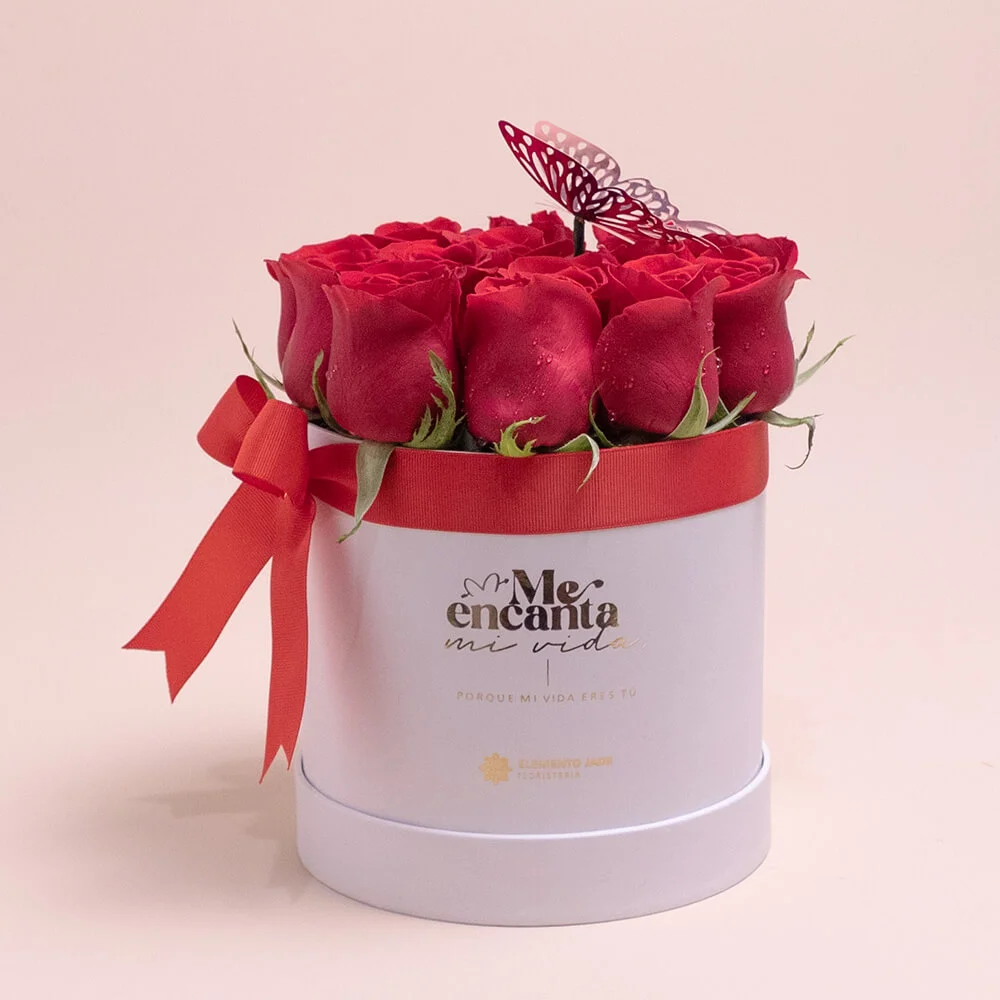 Box "Mi vida eres tú"