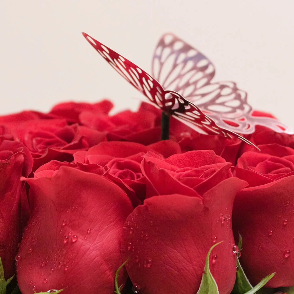 Box "Mi vida eres tú" - Imagen 4