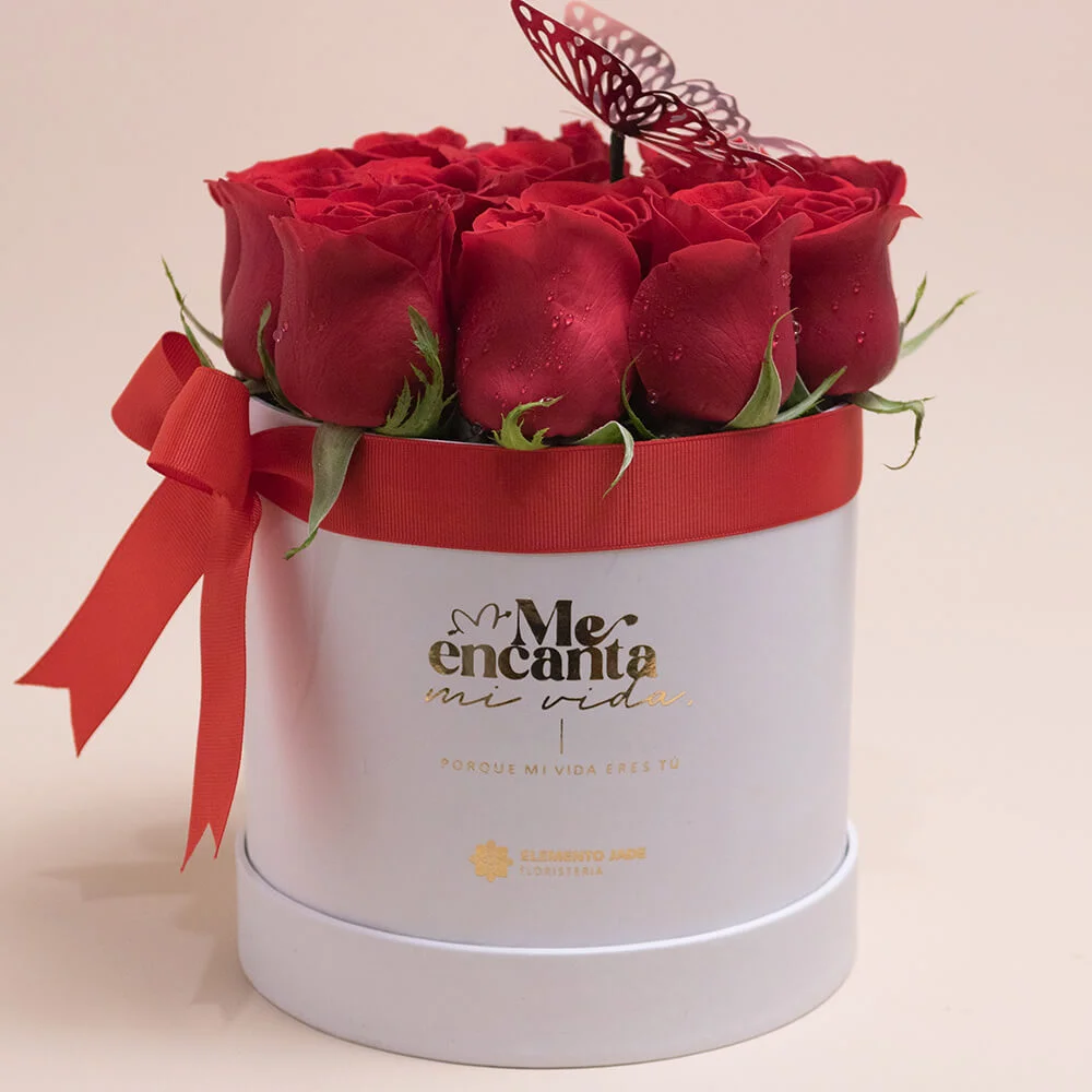 Box "Mi vida eres tú" - Imagen 2