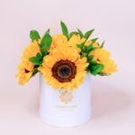 Box Girasoles Premium II