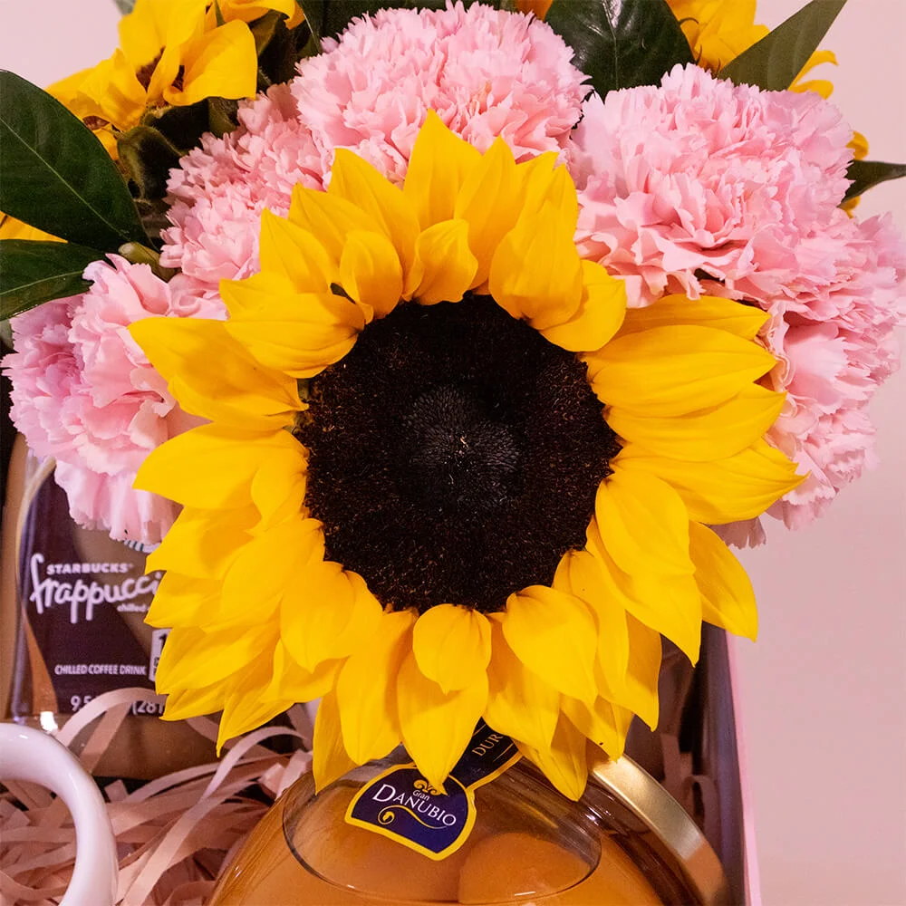 Gift Box Vuelta al Sol - Imagen 3