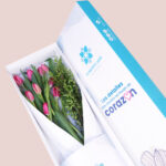 Caja Tulipanes Mamá