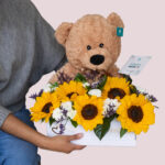 Pack Girasoles Ternura