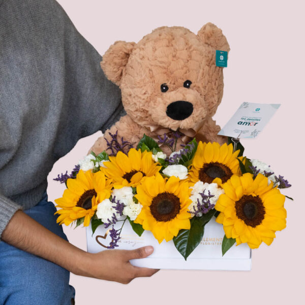 Pack Girasoles Ternura