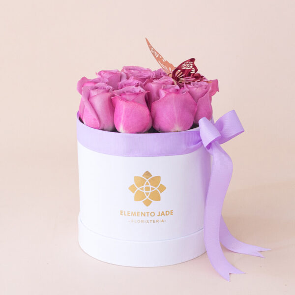 Box Pretty Rosas Lilas