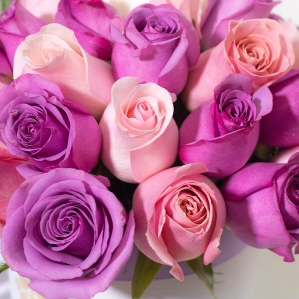 Box Shine de Rosas - Imagen 2