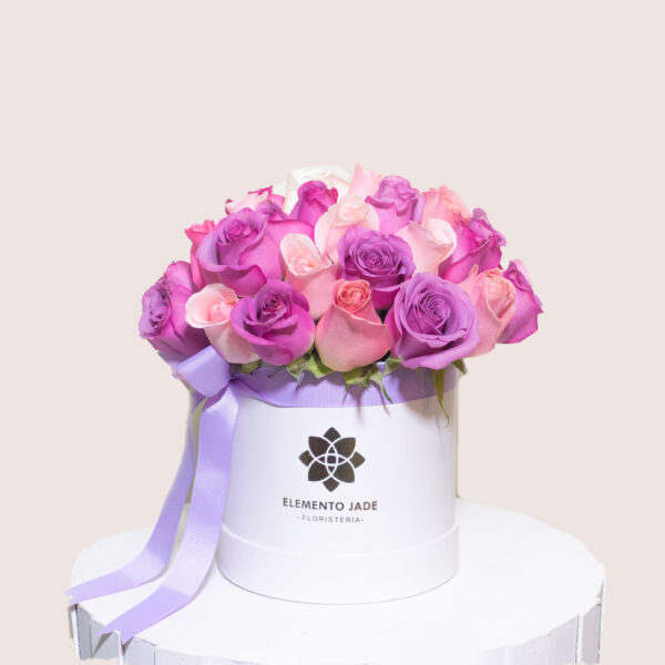 Box Shine de Rosas