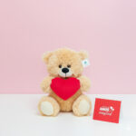 Peluche Mi San Valentín
