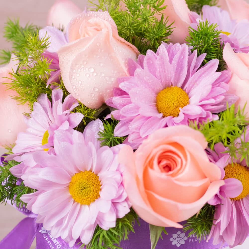 Box Garden Flowers - Imagen 2