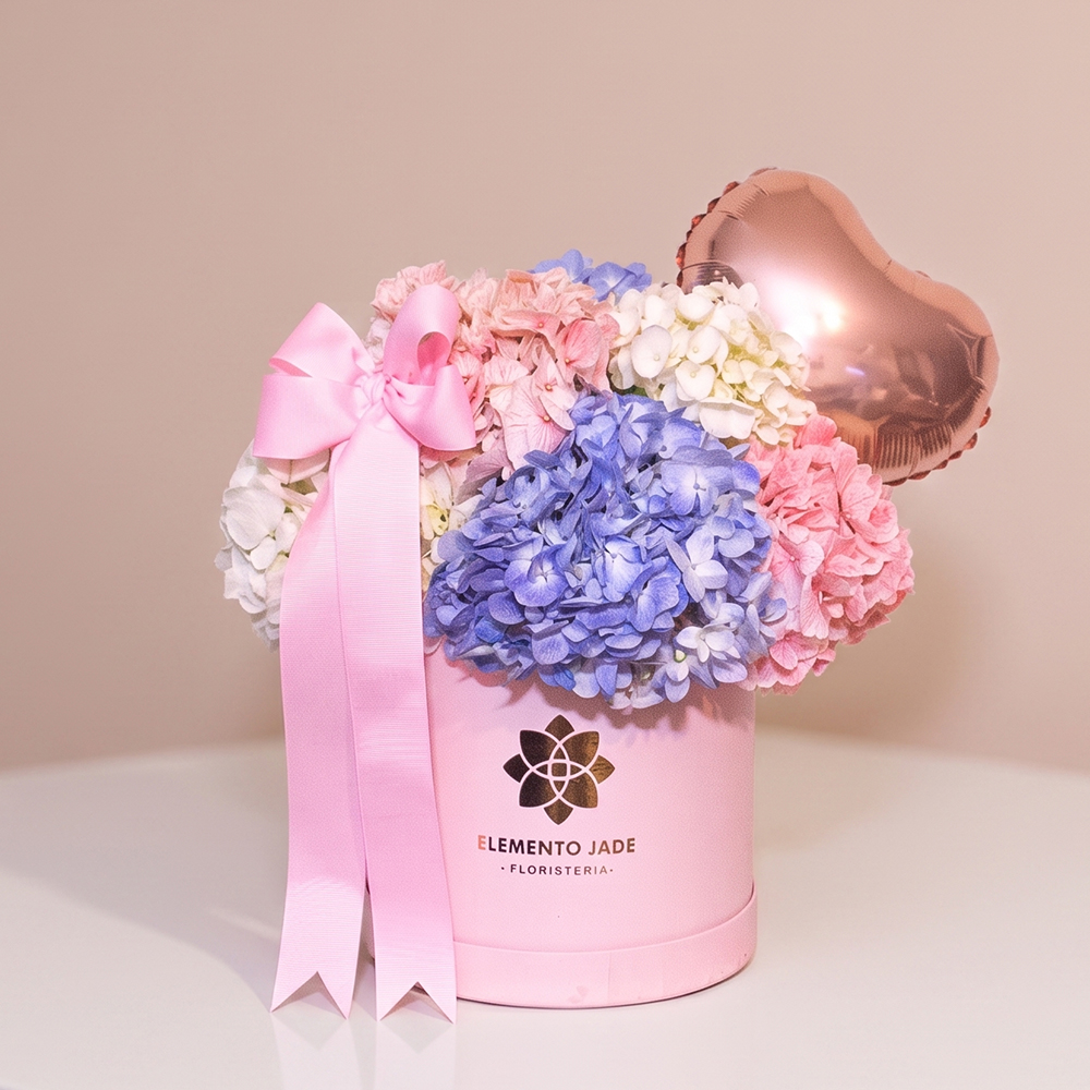 Box Hortensias Premium