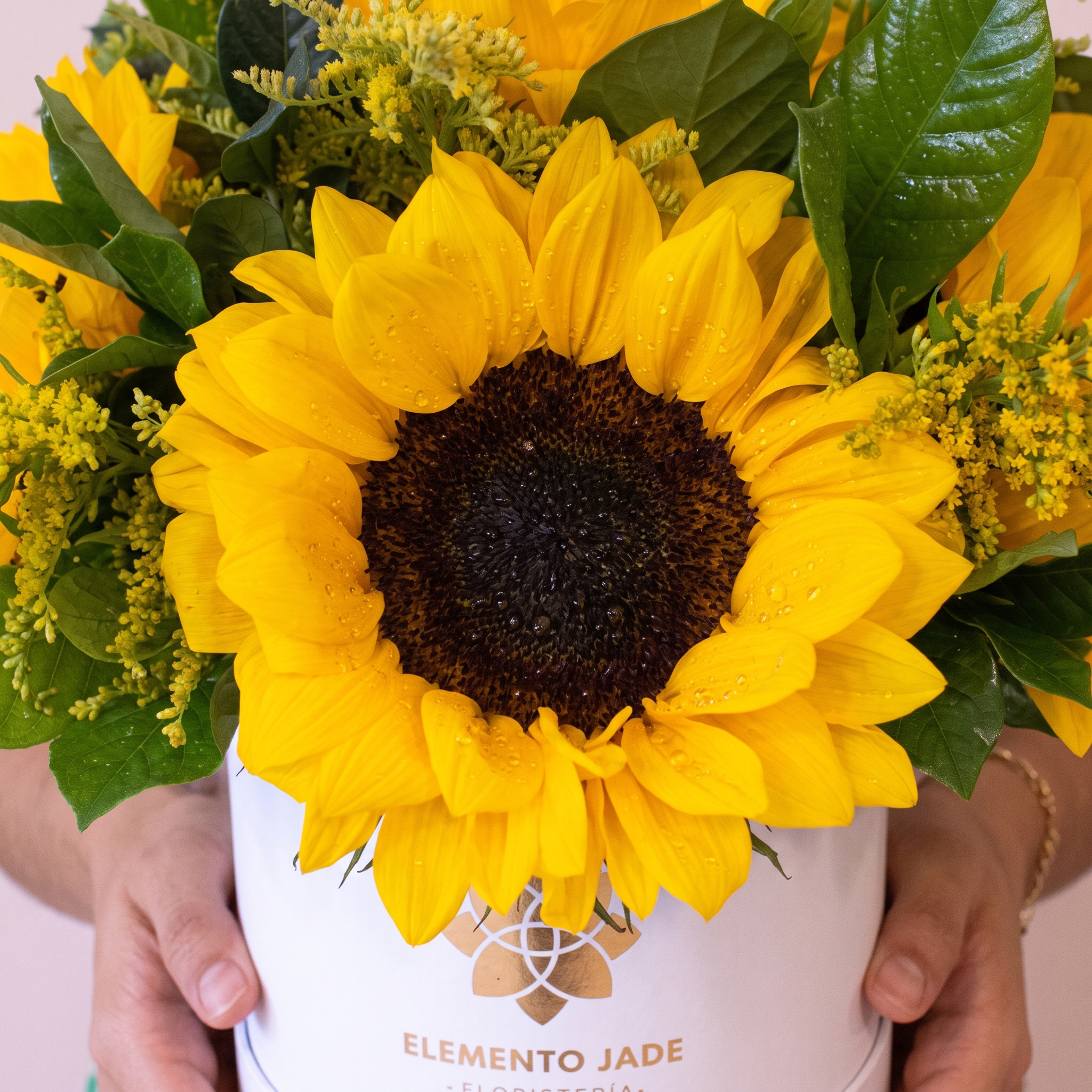 Box Girasoles Flores Amarilas - Imagen 3
