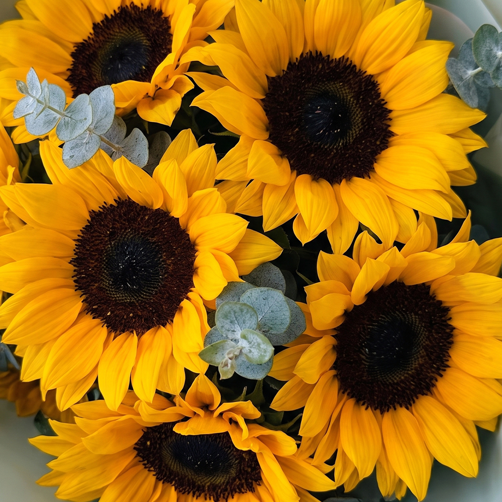 Ramo de Girasoles Flores Amarillas - Imagen 3